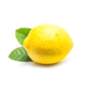 Limon